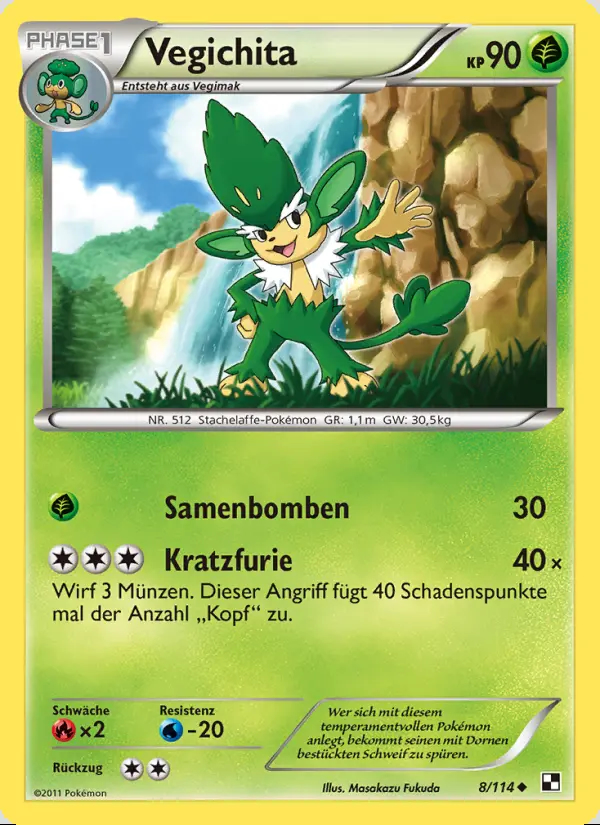 Image of the card Vegichita
