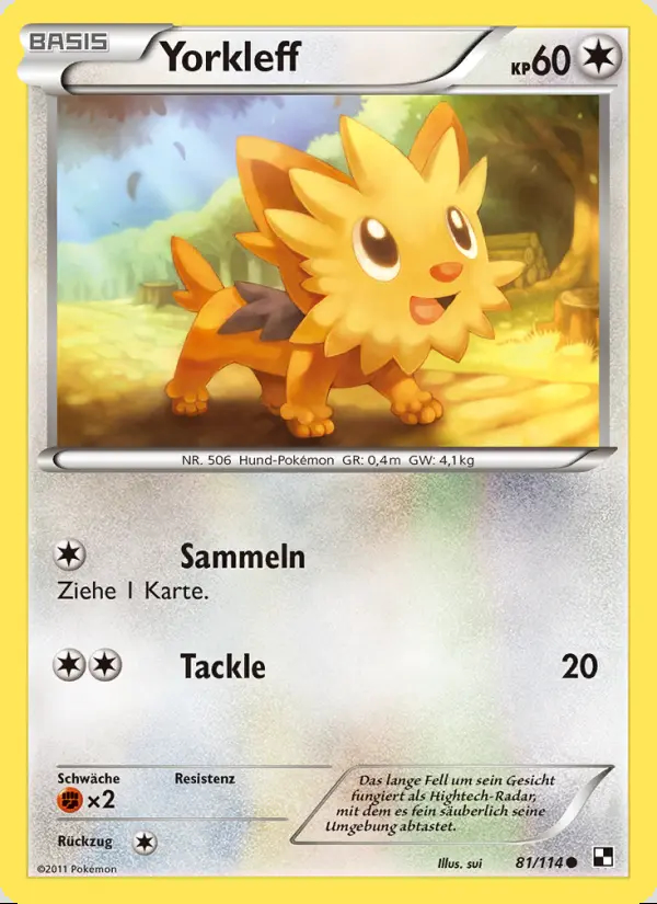 Image of the card Yorkleff