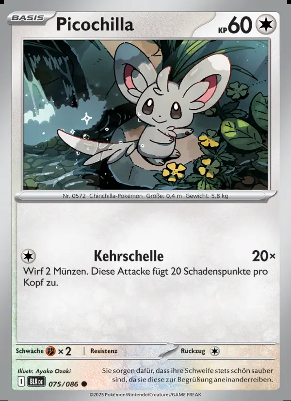Image of the card Picochilla