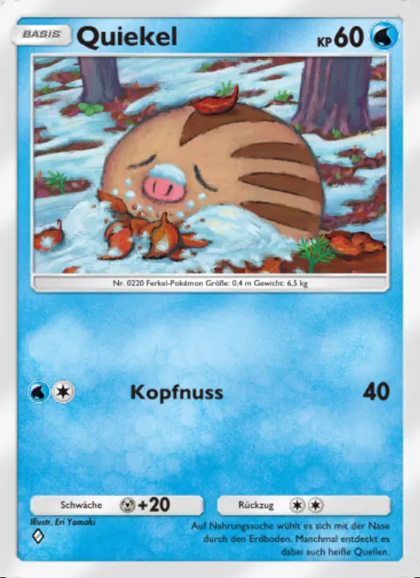 Image of the card Quiekel